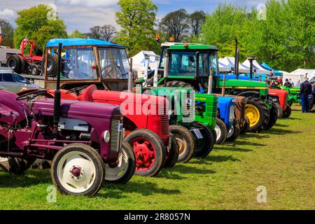 Une exposition de tracteurs conservés et restaurés au rassemblement de vapeur d'Abbey Hill, Yeovil, Somerset, Angleterre, Royaume-Uni Banque D'Images