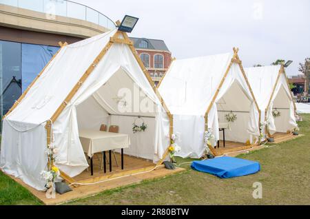 Diverses tentes de champ sur pelouse verte dans la zone de camping au parc Banque D'Images