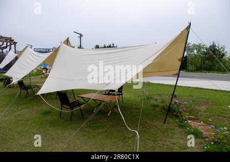 Diverses tentes de champ sur pelouse verte dans la zone de camping au parc Banque D'Images