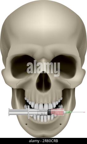 Crâne réaliste avec une cigarette. Illustration sur fond blanc Illustration de Vecteur