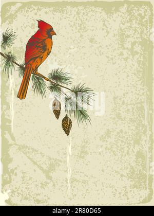 Vector retro fond de Noël avec le Cardinal bird Illustration de Vecteur