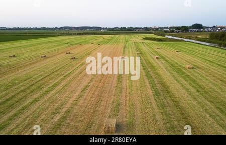 Vue aérienne des balles de foin sur un champ fraîchement coupé Banque D'Images
