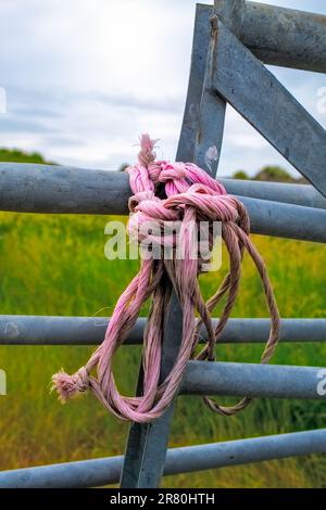 Corde attachée à la clôture en métal pour plus de sécurité et de résistance. notion de manque de sécurité Banque D'Images