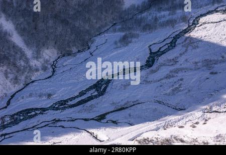 Vue Sur La Rivière Qui Coule Au Milieu Des Arbres À Forest Pendant L'Hiver Banque D'Images