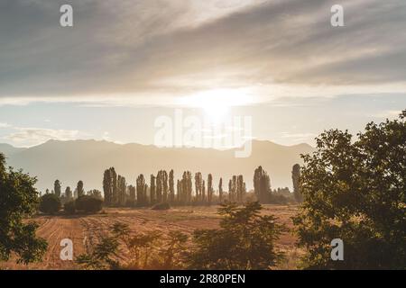 Coucher de soleil doré en Macédoine avec champ de ferme labouré et silhouettes de montagne à l'horizon Banque D'Images