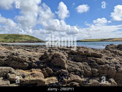 Vue sur l'estuaire de la Camel près de Daymer Bay - Cornwall, Royaume-Uni Banque D'Images