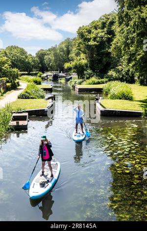 Paddle Boarders naviguant en descendant le cours d'eau à travers Walsham Lock Gates sur la rivière Wey, lors d'une journée ensoleillée calme au printemps / été Surrey Royaume-Uni Banque D'Images
