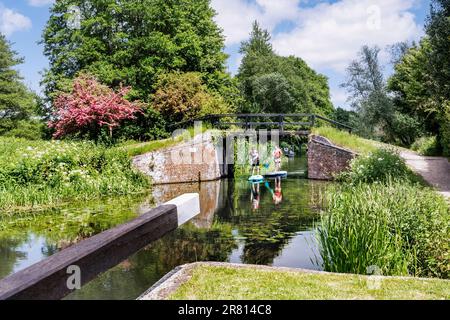 Paddle Boarders naviguant en ruisseau à travers Walsham Lock Gates sur la rivière Wey, un printemps/été calme soleil jour Surrey Royaume-Uni Banque D'Images