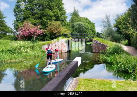 Paddle Boarders naviguant en ruisseau à travers Walsham Lock Gates sur la rivière Wey, un printemps/été calme soleil jour Surrey Royaume-Uni Banque D'Images