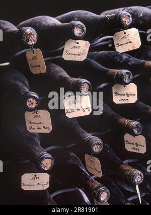 Vins fins de Bourgogne étiquetés en cave, inc.1959/Beaune Gréves, 1877/Vosne Romanée / Richebourg, dans les caves à vin de Louis Jadot Beaune Côte d'Or France Banque D'Images