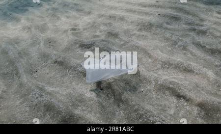 Mer Rouge, Égypte. 17th juin 2023. Pollution plastique, sac plastique blanc se déplace lentement dans le courant de l'eau sur fond sablonneux gros plan du fond sablonneux dans l'eau peu profonde avec sac plastique, Mer Rouge, Egypte (Credit image: © Andrey Nekrasov/ZUMA Press Wire) USAGE ÉDITORIAL SEULEMENT! Non destiné À un usage commercial ! Banque D'Images