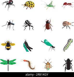 l'ensemble des différents types d'insectes et d'araignées Illustration de Vecteur