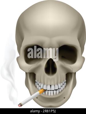 Crâne humain avec une cigarette. Illustration sur fond blanc Illustration de Vecteur