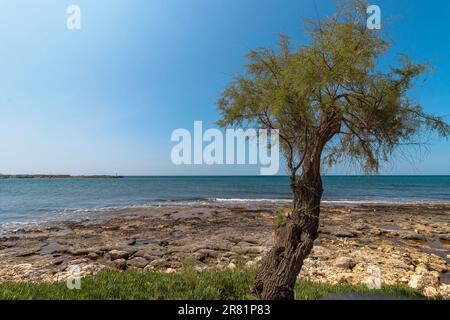 Torre Vado en Puglia, une petite perle sur les rives de la mer Ionienne, Banque D'Images