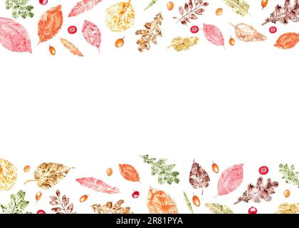 Cadre horizontal de feuilles d'automne colorées empreintes, argousier, myrtilles rouges isolées sur fond blanc. Illustration aquarelle Banque D'Images