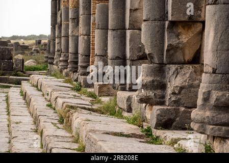 Les ruines emblématiques du forum à Volubilis, une ancienne ville romaine au Maroc, en Afrique du Nord Banque D'Images