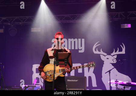 Black Deer Festival, Kent, Royaume-Uni - 18th juin Richard Hawley est à la tête de la scène principale de la dernière nuit au Black Deer Festival, Eridge Park, Kent. Credit Jill O'Donnell/Alay Live News Banque D'Images