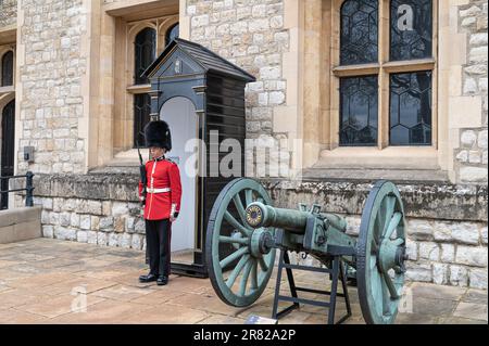 Royal Guardsman devant la caserne de Waterloo à la Tour de Londres, Londres, Angleterre Banque D'Images