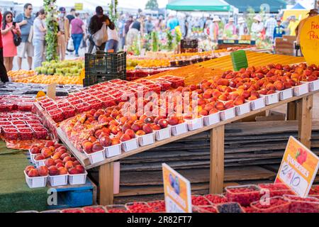 St. Jacobs Farmers Market, vendeurs de fruits et légumes, Ontario, Canada Banque D'Images