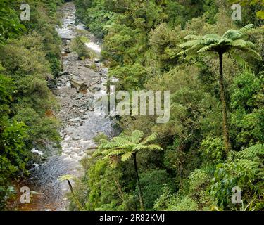 Vue sur la rivière Kaituna depuis le circuit de Kaituna, le parc national de Kahurangi, la région de Tasman, l'île sud, Aotearoa / Nouvelle-Zélande. Banque D'Images