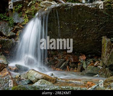 Une chute d'eau sans nom sur le circuit de Kaituna, parc national de Kahurangi, région de Tasman, île du sud, Aotearoa / Nouvelle-Zélande. Banque D'Images