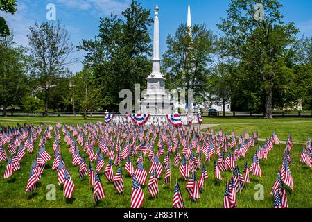 Drapeaux américains mis en place sur la commune de Barre pour célébrer le jour du souvenir Banque D'Images