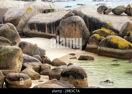 La plage de Boulders dans la ville de Simon's, près du Cap, Afrique du Sud Banque D'Images