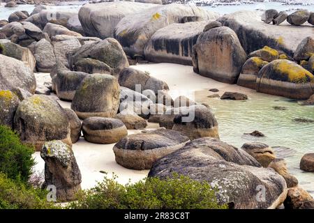 La plage de Boulders dans la ville de Simon's, près du Cap, Afrique du Sud Banque D'Images