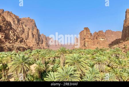 Une vue imprenable sur l'oasis de Wadi Al Disah dans la province de Tabuk en Arabie Saoudite. Banque D'Images