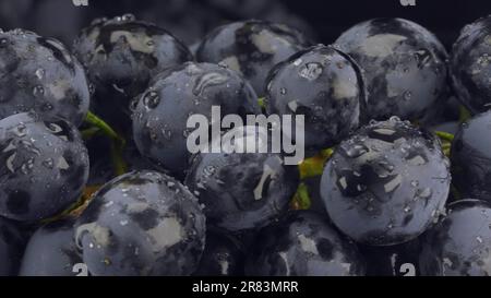 Détails de raisins frais sombres avec gouttes d'eau, gros plan Banque D'Images