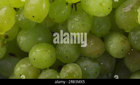 Bouquet de raisins verts avec gouttes d'eau. Gros plan Banque D'Images