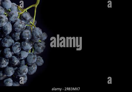 Tas de raisins noirs mûrs avec des gouttes d'eau isolé sur fond noir Banque D'Images