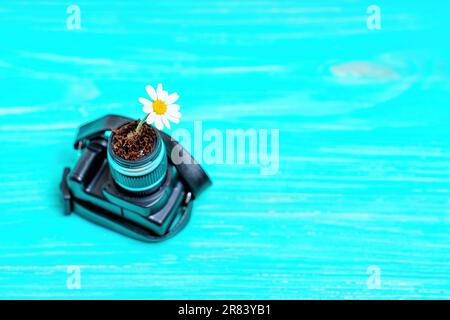 Modèle d'appareil photo jouet avec une Marguerite en fleurs se dépliant de l'objectif de l'appareil photo sur bleu. Banque D'Images