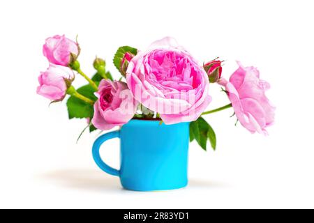 Gros plan d'un arrangement délicat de roses dans une petite tasse bleue isolée sur fond blanc. Banque D'Images