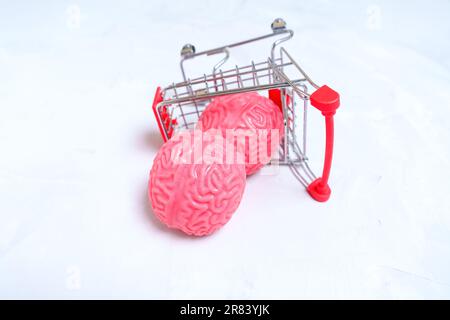 Vue rapprochée d'un chariot de poussée miniature renversé contenant deux modèles anatomiques en gelée du cerveau humain. Ventes et promotions dans l'éducation se Banque D'Images