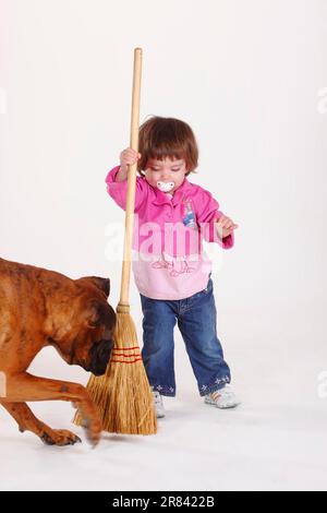 Petite fille et Boxer allemand, Broom Banque D'Images