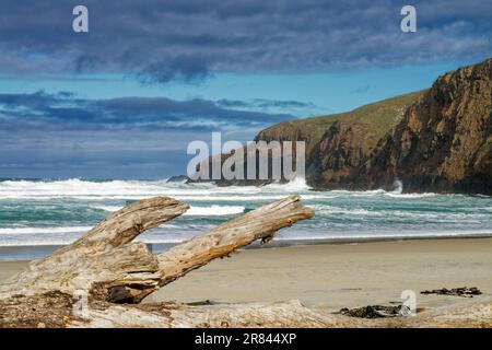 Sandfly Bay à l'ouest. Péninsule d'Otago, Dunedin, île du sud, Aotearoa / Nouvelle-Zélande Banque D'Images