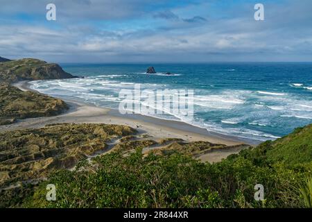 Vue vers l'est sur Sandfly Bay. Péninsule d'Otago, Dunedin, île du sud, Aotearoa / Nouvelle-Zélande Banque D'Images