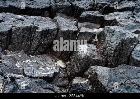 Columnar Basalt sur la plage d'Allans, péninsule d'Otago, Dunedin, île sud, Aotearoa / Nouvelle-Zélande Banque D'Images