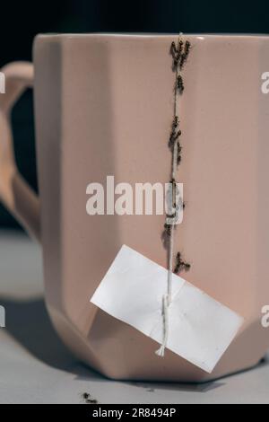 Un fléau de fourmis dans la cuisine - tombant sur une tasse Banque D'Images