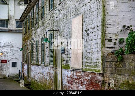 Ancien bâtiment de la prison fédérale de sécurité maximale d'Alcatraz dans la baie de San Francisco, dans l'État de Californie, États-Unis d'Amérique. Banque D'Images