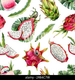 Rose rouge pitaya acolor fruits dragon et feuilles tropicales sans couture avec dessins pitahaya Banque D'Images