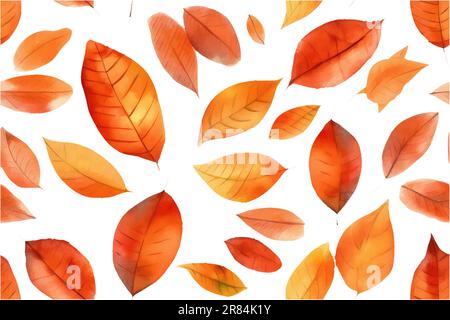 l'illustration vectorielle de l'ensemble d'aquarelles des feuilles d'automne s'isole sur fond blanc Illustration de Vecteur