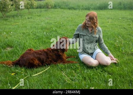 Red Irish Setter processus de formation en extérieur. Belle blonde souriante bonne jeune femme en short denim sont assis au verre et l'entraînement d'un mignon samoyed Banque D'Images