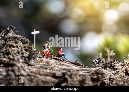 Les gens font une pause tout en faisant de la randonnée dans la forêt Banque D'Images