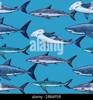 Motif sans couture avec divers requins, grand requin blanc, requin marteau et autres. Illustration vectorielle de style vintage. Illustration de Vecteur