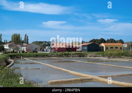 Île d'Oléron (Charente-Maritime, France). Réservoirs de sel à Dolus d'Oléron Banque D'Images