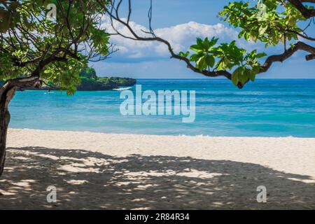 Bannière de vacances tropicales de luxe plage avec arbres tropicaux, sable et bleu paisible océan. Banque D'Images