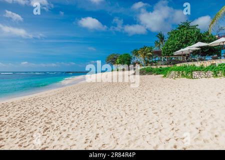 Plage tropicale avec palmiers dans une île de luxe. Côte de vacances pittoresque avec des cocotiers. Banque D'Images