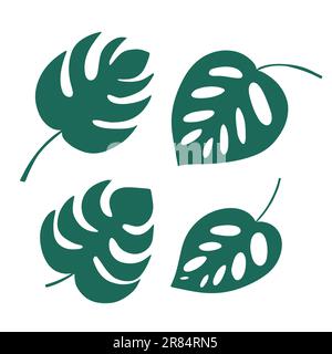 Différentes sortes de feuilles de monstère Illustration de Vecteur